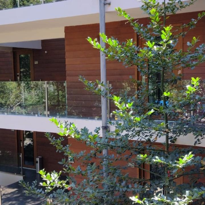 Hotel Playa Grande Suites Pucón Екстериор снимка