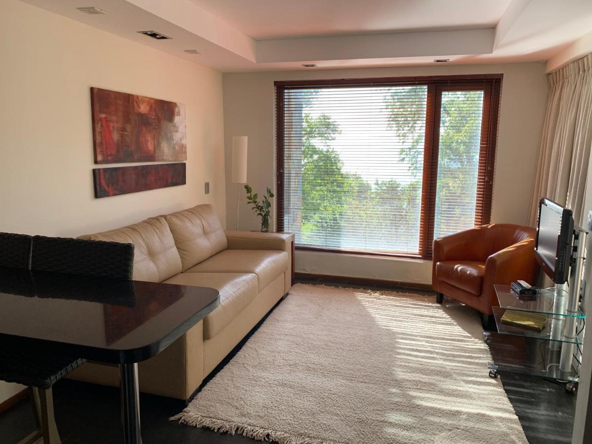 Hotel Playa Grande Suites Pucón Екстериор снимка